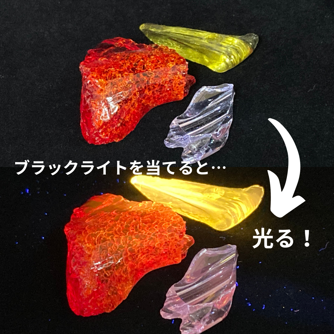 【限定100個追加販売!】福袋 2025 オリジナル「巳年」ビーカーコップが必ずもらえる【1月末までに発送】