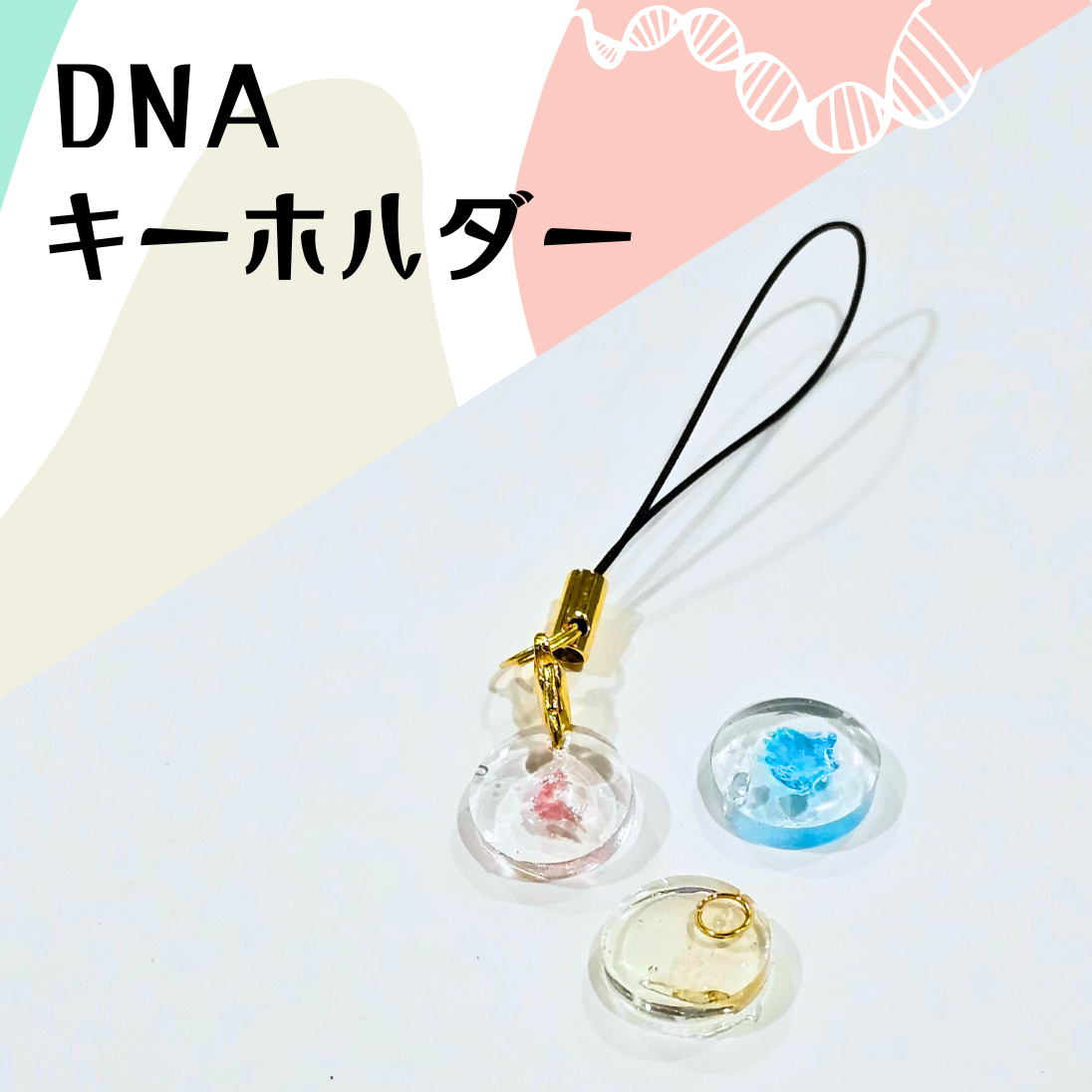 【8/20 GENKI LABOフェス】生物の神秘!?DNAキーホルダー作り