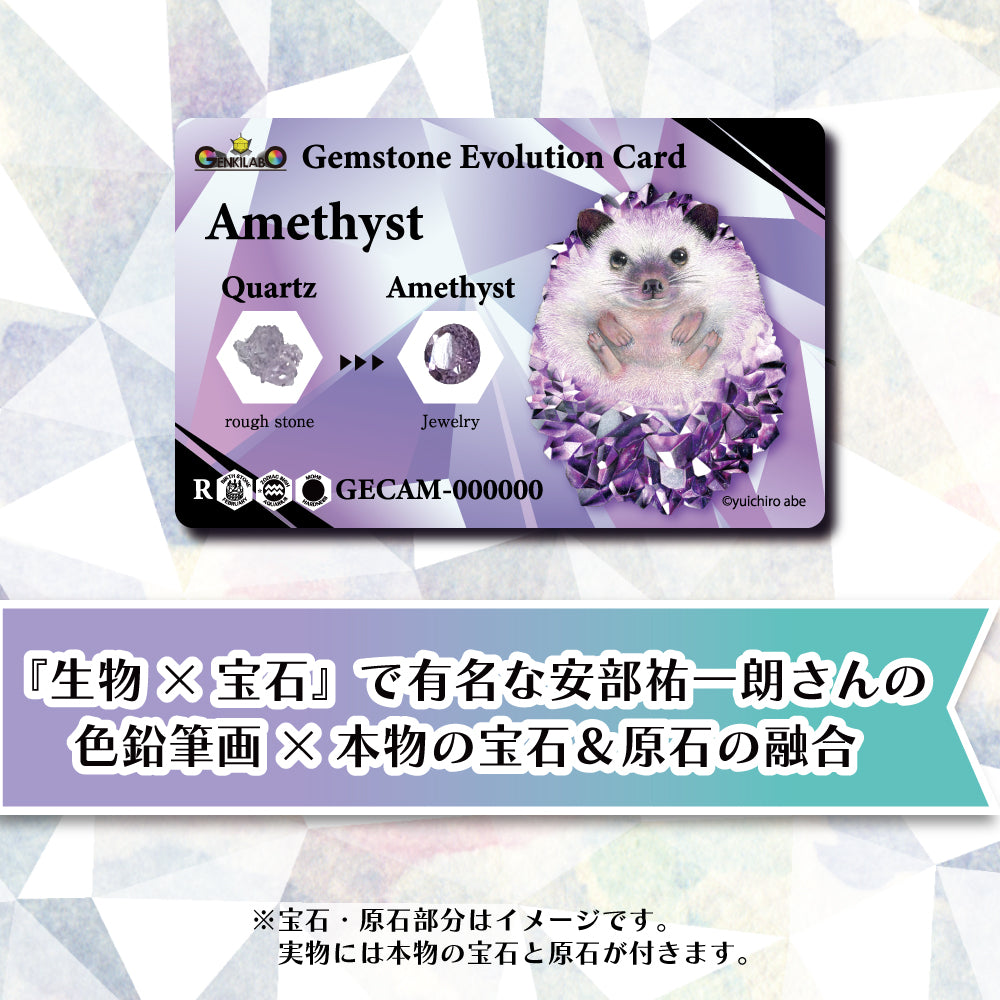 【宝石カードガチャ】本物の宝石&原石付き「Gemstone Evolution Card」がランダムで1種類当たる！