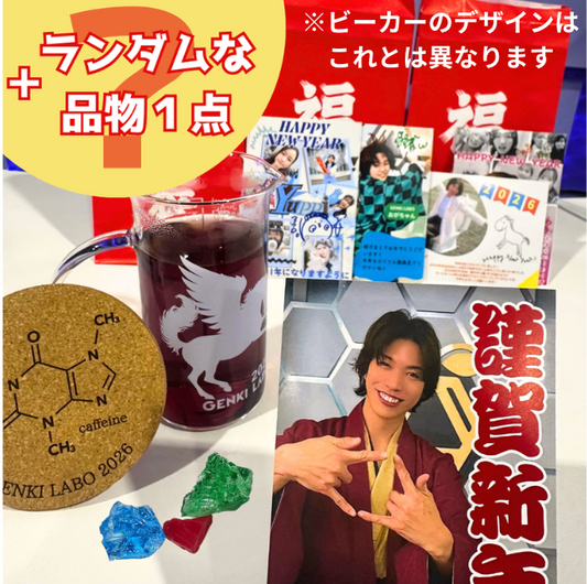 【追加販売！】【100個限定】2026年GENKILABOオリジナル福袋
