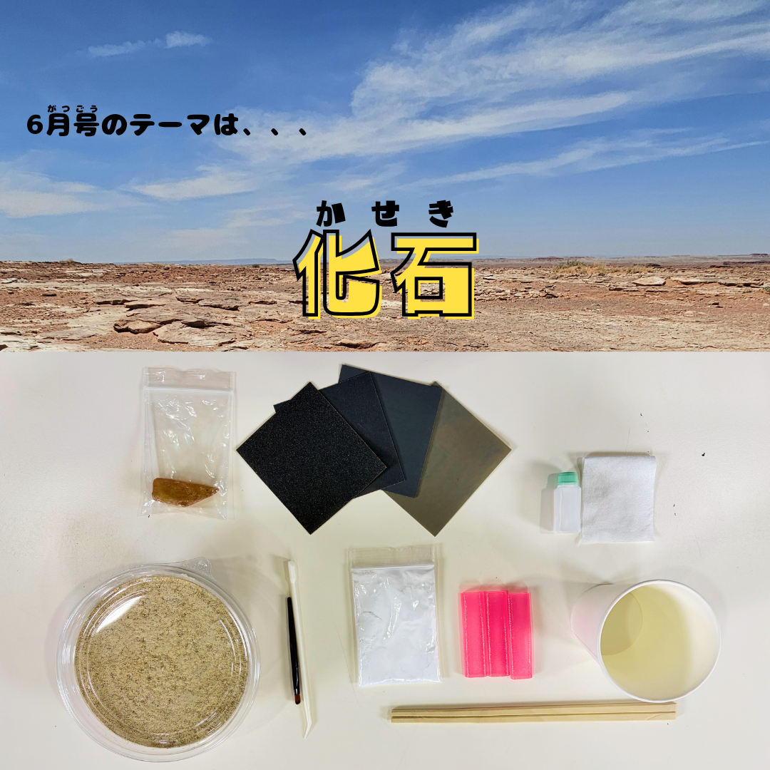 【年間払い】ベーシックプログラム（おうちLABO）