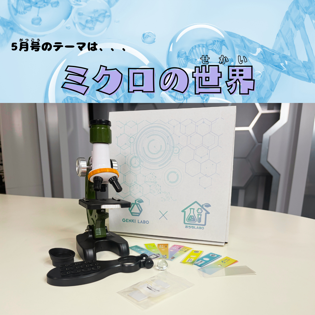 【年間払い】ベーシックプログラム（おうちLABO）