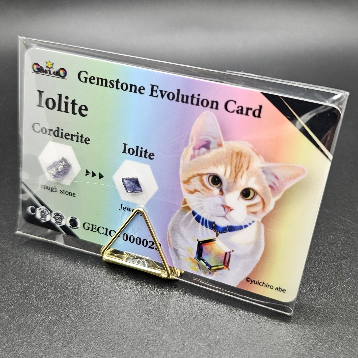 【宝石カードガチャ】本物の宝石&原石付き「Gemstone Evolution Card」がランダムで1種類当たる！